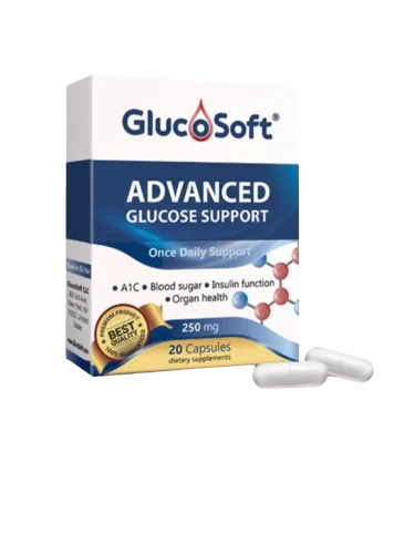 GlucoSoft Снимка